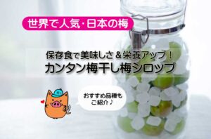 【世界で人気・日本の梅】身体にどう良いの？保存食で美味しさ＆栄養更にアップ！効率良いレシピで梅干し梅シロップも定番に。三常おすすめ品種もご紹介