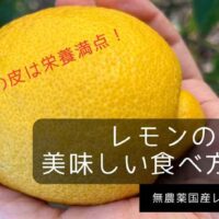 【無農薬国産レモンの皮活用法】レモンの皮の美味しい食べ方 レシピまとめーレモンピールは栄養満点ー