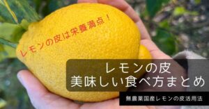 【無農薬国産レモンの皮活用法】レモンの皮の美味しい食べ方 レシピまとめーレモンピールは栄養満点ー
