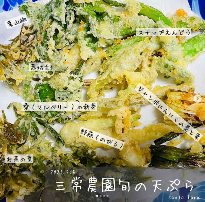 ジャンボニンニクの茎や花芽を天ぷらも美味！炒め物にも◎で食べ方色々！