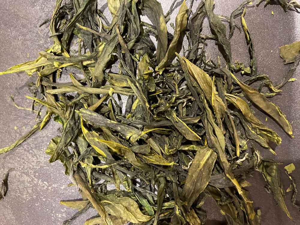 お茶の葉を乾燥させる（ホットプレートで約２０分）