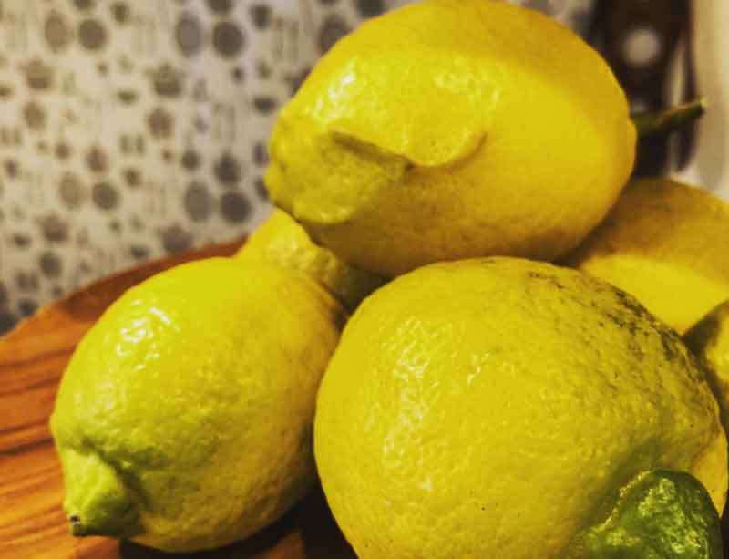 三常農園の無農薬レモン