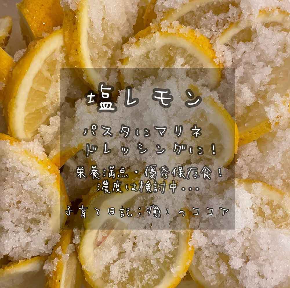 国産無農薬レモンの塩レモン