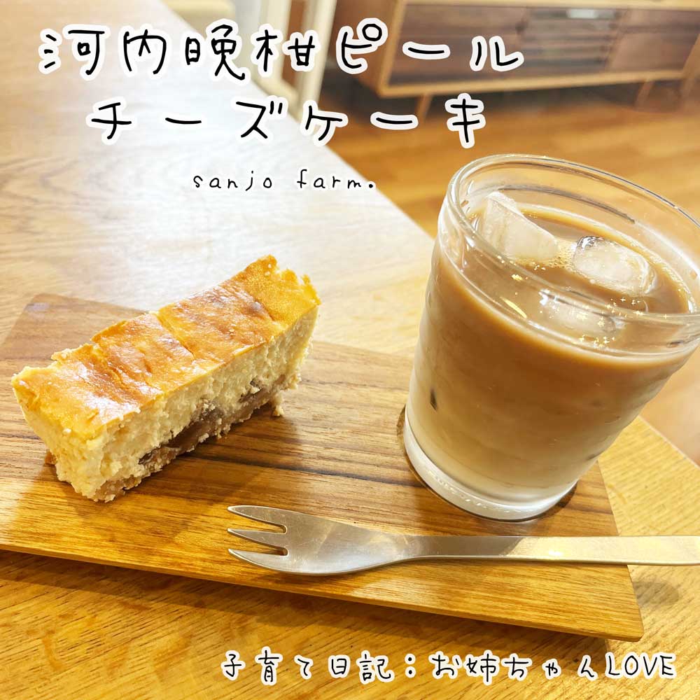 河内晩柑ピールのチーズケーキ