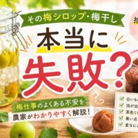 作った梅シロップ・梅干しの白い物体や結晶、泡、濁りの正体は？
