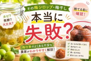 【この梅干し梅シロップもうダメ?】カビ?発酵?腐った?捨てるべき?濁り・変色・白い泡・白い物体の正体は?