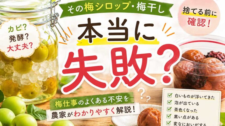 作った梅シロップ・梅干しの白い物体や結晶、泡、濁りの正体は？