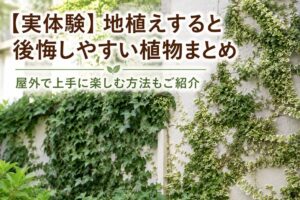地植えすると後悔しやすい植物7選｜実体験をもとに屋外で上手に楽しむ方法もご紹介